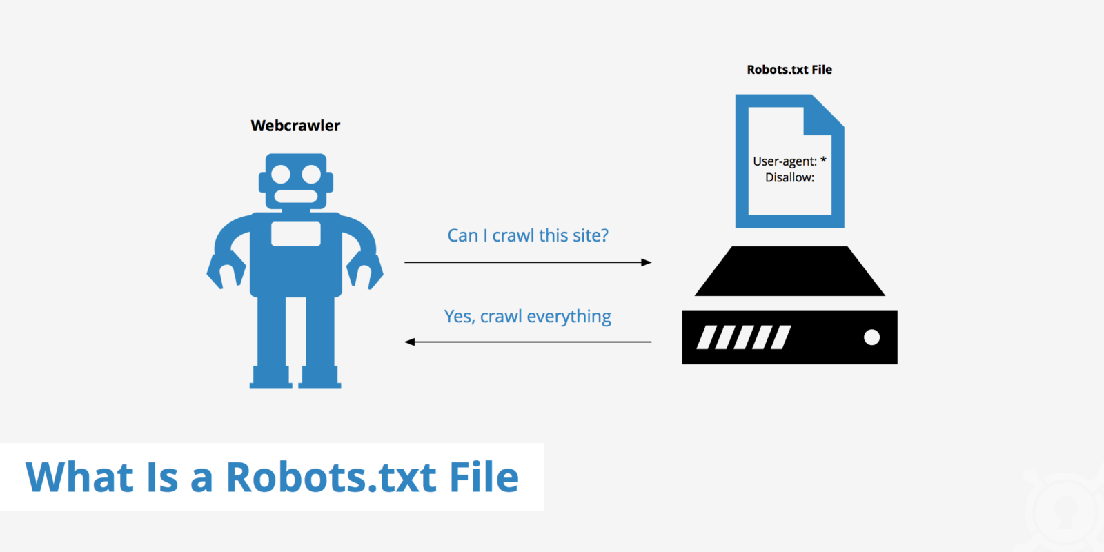 Robots.txt1  1600x800